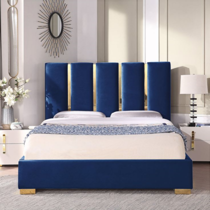 Blue & Gold Blue & Gold